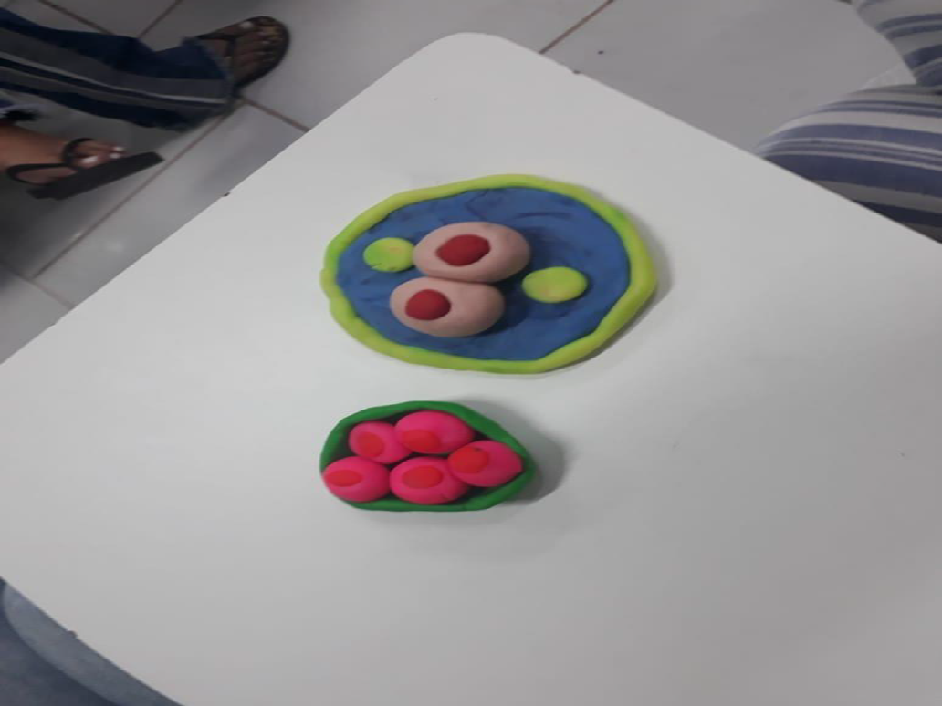 USO DE MASSINHA DE MODELAR PARA ENTENDIMENTO DO DESENVOLVIMENTO HUMANO