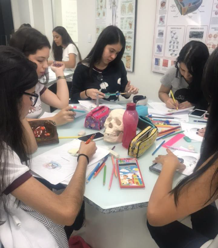 COLORINDO OS OSSOS DA FACE